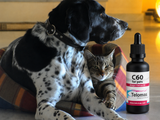 C60 per gli Animali, Omega 3 olio di salmone, Lipo fulerenes, 50ml, Bucky Balls, 99.95% di purezza