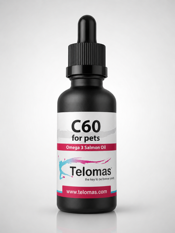 Allonger les Télomères